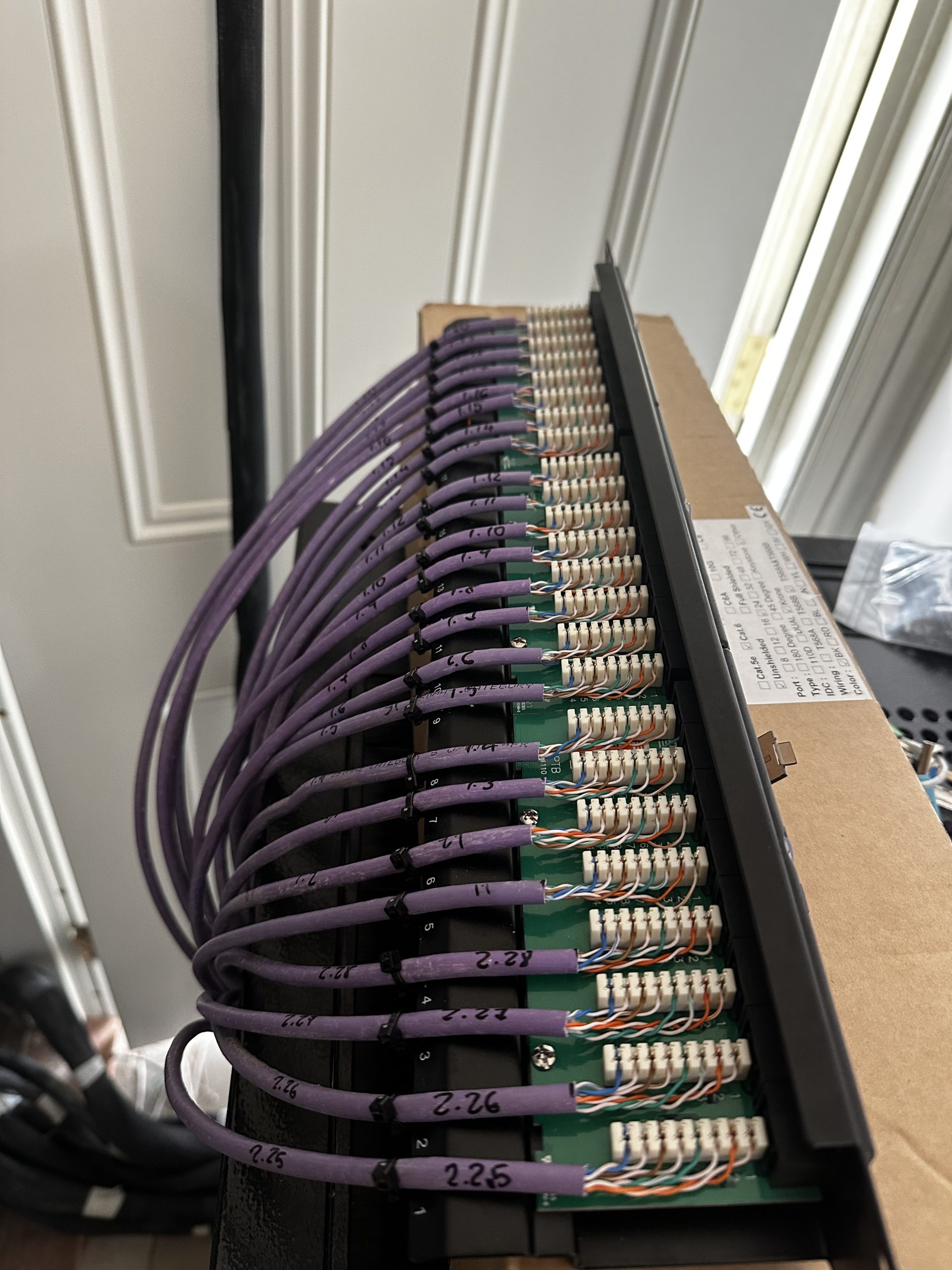 CAT6 data cables neatly terminated and labelled on a commercial patch panel